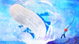 XY040 - Wailord (Flash-back).png