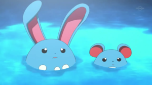 Épisode Mewtwo éveil Marill et Azumarill.png