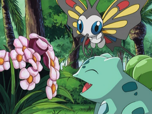 AG132 - Bulbizarre et Charmillon de Flora.png