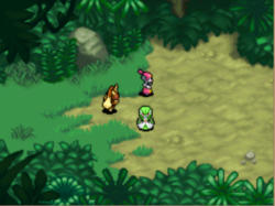 L'équipe Charme à la sortie de la Jungle Méridionale.