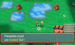 Route 120 Sombre Ball 2 ROSA.png