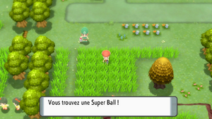 Route 210 Super Ball (Objet Caché) DEPS.png