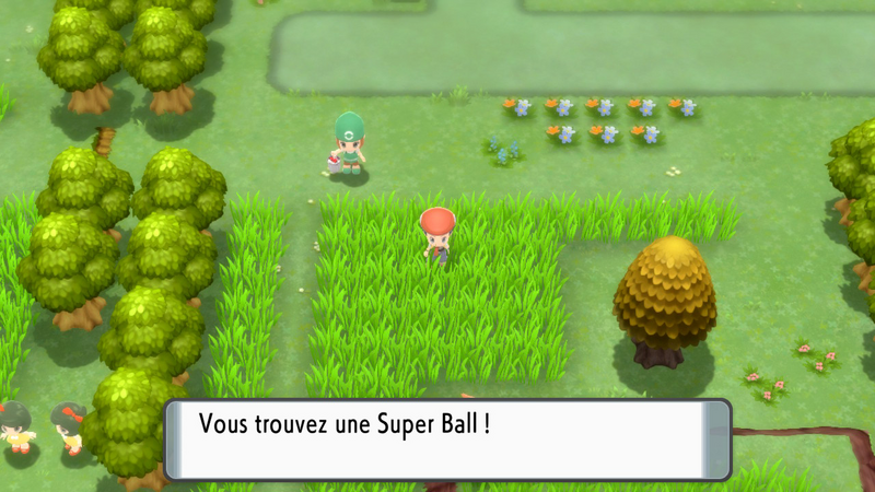 Fichier:Route 210 Super Ball (Objet Caché) DEPS.png