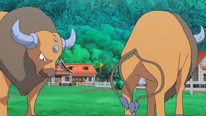 SL033 - Tauros de la ferme de Kiawe.png