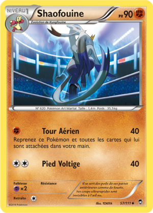 Carte XY Poings Furieux 57.png