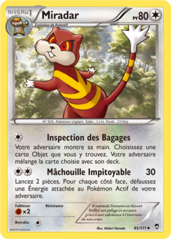 Miradar (XY Poings Furieux 85)