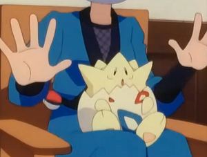 EP176 - Togepi d'Ondine.png