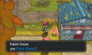 Romant-sous-Bois Pierre Plante XY.png