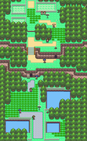 Route 204 Pt.png
