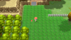Route 214 Potion Max DEPS.png