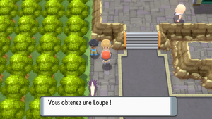 Voilaroc Loupe DEPS.png