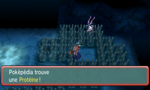 Chenal 128 Protéine ROSA.png