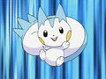 Pachirisu (d'Aurore)