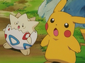 Togepi (d'Ondine) et Pikachu (de Sacha)