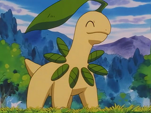 EP228 - Macronium de Sacha.png