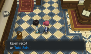 Fort Vanitas Total Soin XY.png