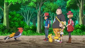 XY065 - Braisillon de Sacha.png
