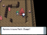 Île de Fer Petit Champi DP.png