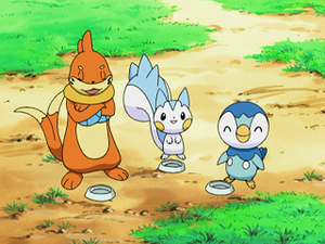 DP044 - Mustébouée, Pachirisu et Tiplouf d'Aurore.png