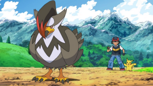 DP131 - Étouraptor de Sacha.png