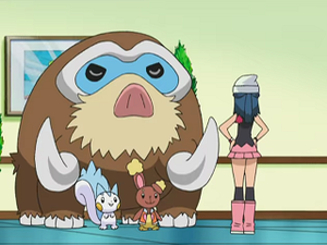 DP133 - Mammochon, Pachirisu et Laporeille d'Aurore.png