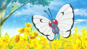 LV003 - Chenipan.png