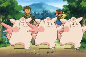 Mélodelfe Danse-Folle.png