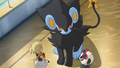 Luxray (de Lem)