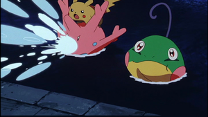 Corayon Bulles d'O.png
