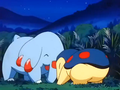 Phanpy (de Sacha) et Héricendre (de Sacha)