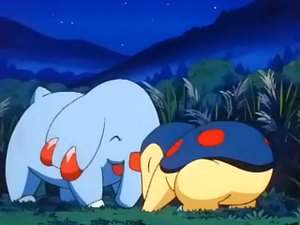 EP246 - Phanpy et Héricendre de Sacha.png