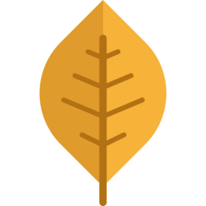 Icône Automne.png