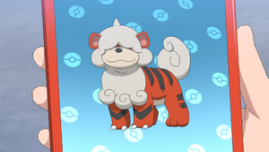 LH071 - Caninos de Hisui Pokédex.png