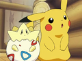 Pikachu (de Sacha) et Togepi (d'Ondine)