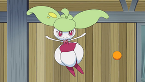 SL066 - Candine de Barbara.png