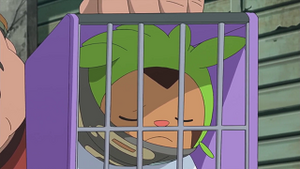 XY012 - Marisson de Lem.png