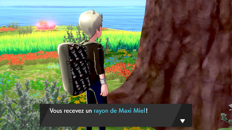 Fichier:Îlot Calméole Maxi Miel EB.png