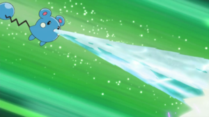 Azurill d'Amandine.png