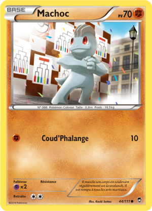 Carte XY Poings Furieux 44.png
