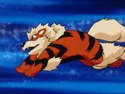 Arcanin(de Régis)