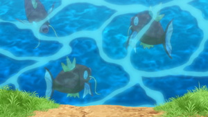 LH051 - Magicarpe.png