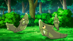 NB130 - Chrysacier.png