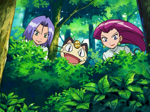 DP071 - Miaouss de la Team Rocket.png