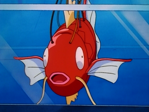 EP083 - Magicarpe.png