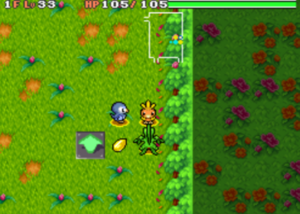 Forêt Linceul PDMTO.png