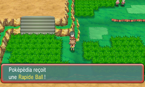 Route 114 Rapide Ball ROSA.png