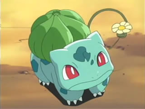 AG073 - Bulbizarre de Flora.png