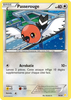 Passerouge (XY Kit du Dresseur Pikachu Catcheur 16)