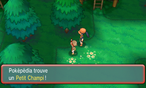 Cimetronelle Petit Champi ROSA.png