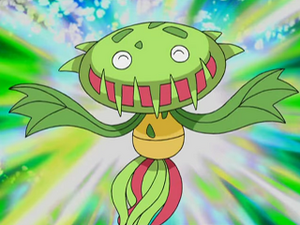 DP133 - Vortente de James.png